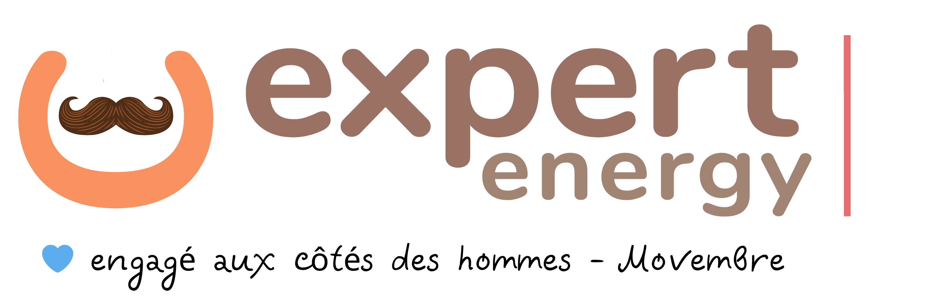 logo expert energy