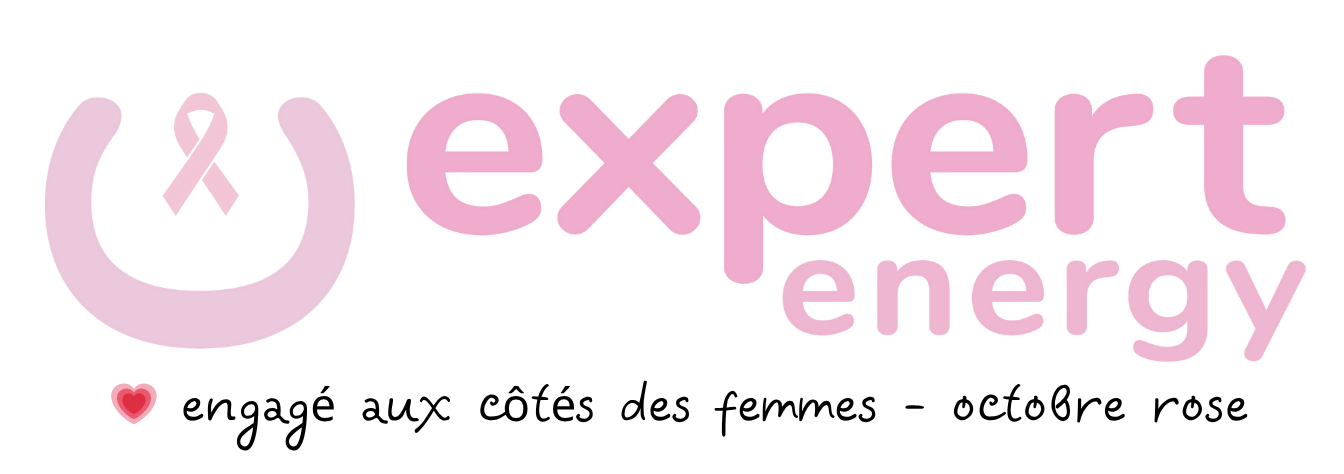 logo expert energy